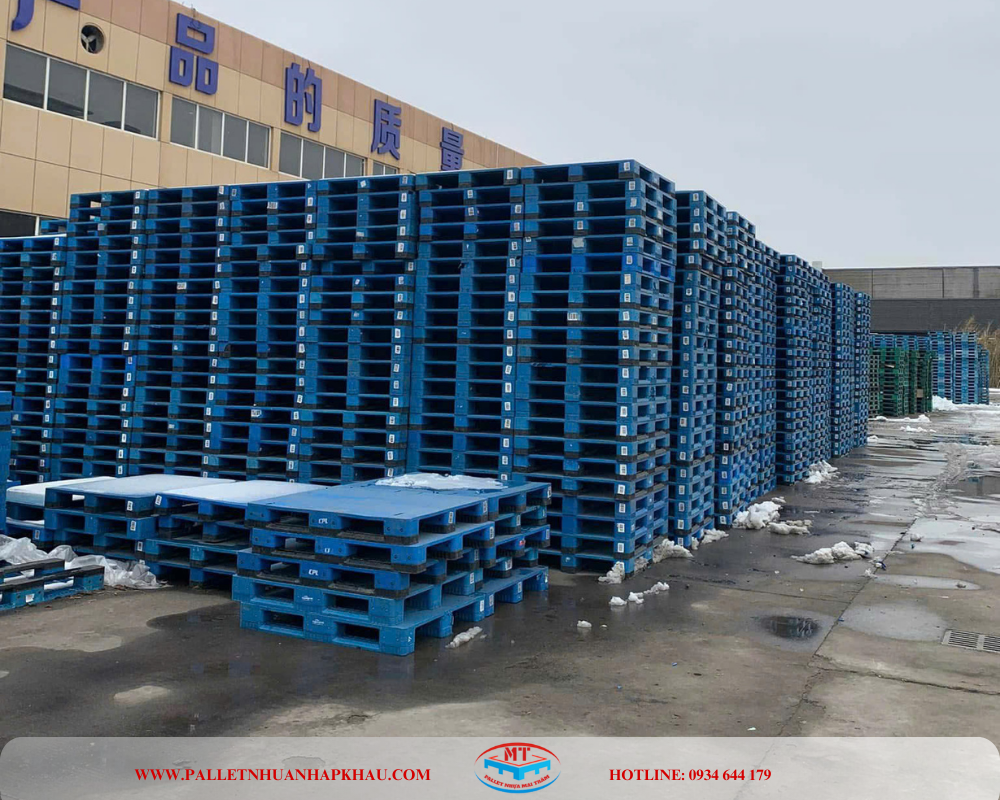 Pallet nhựa mới 100% đáp ứng về số lượng nhiều và đa dạng