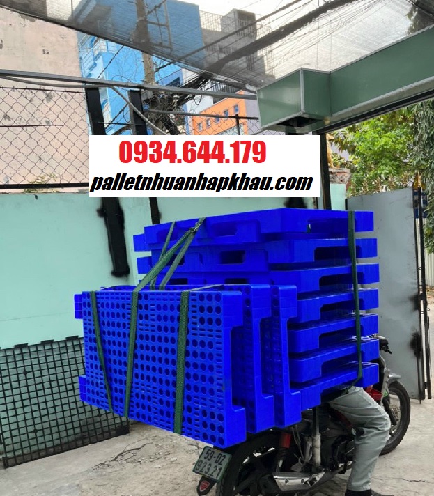 pallet nhựa Trảng Bàng