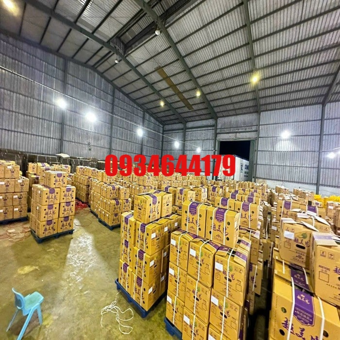 Pallet nhựa tại Gò Quao Kiên Giang xử lý tải trọng tốt