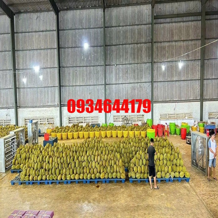 pallet nhựa tại mỹ xuyên sóc trăng