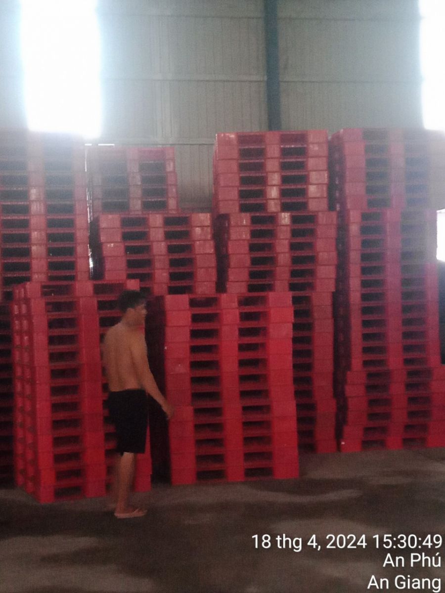 Pallet nhựa KCN Tân Bình