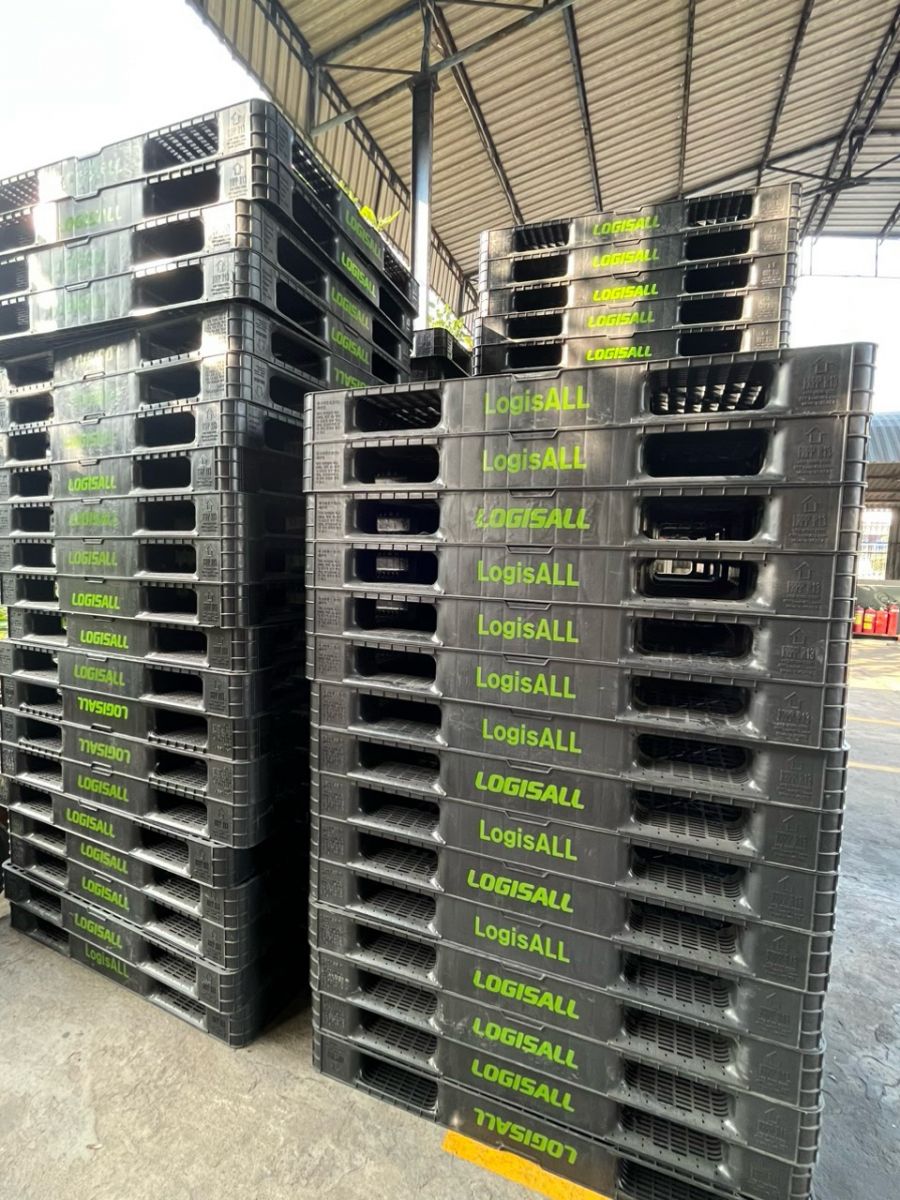 Pallet nhựa KCN Tân Bình