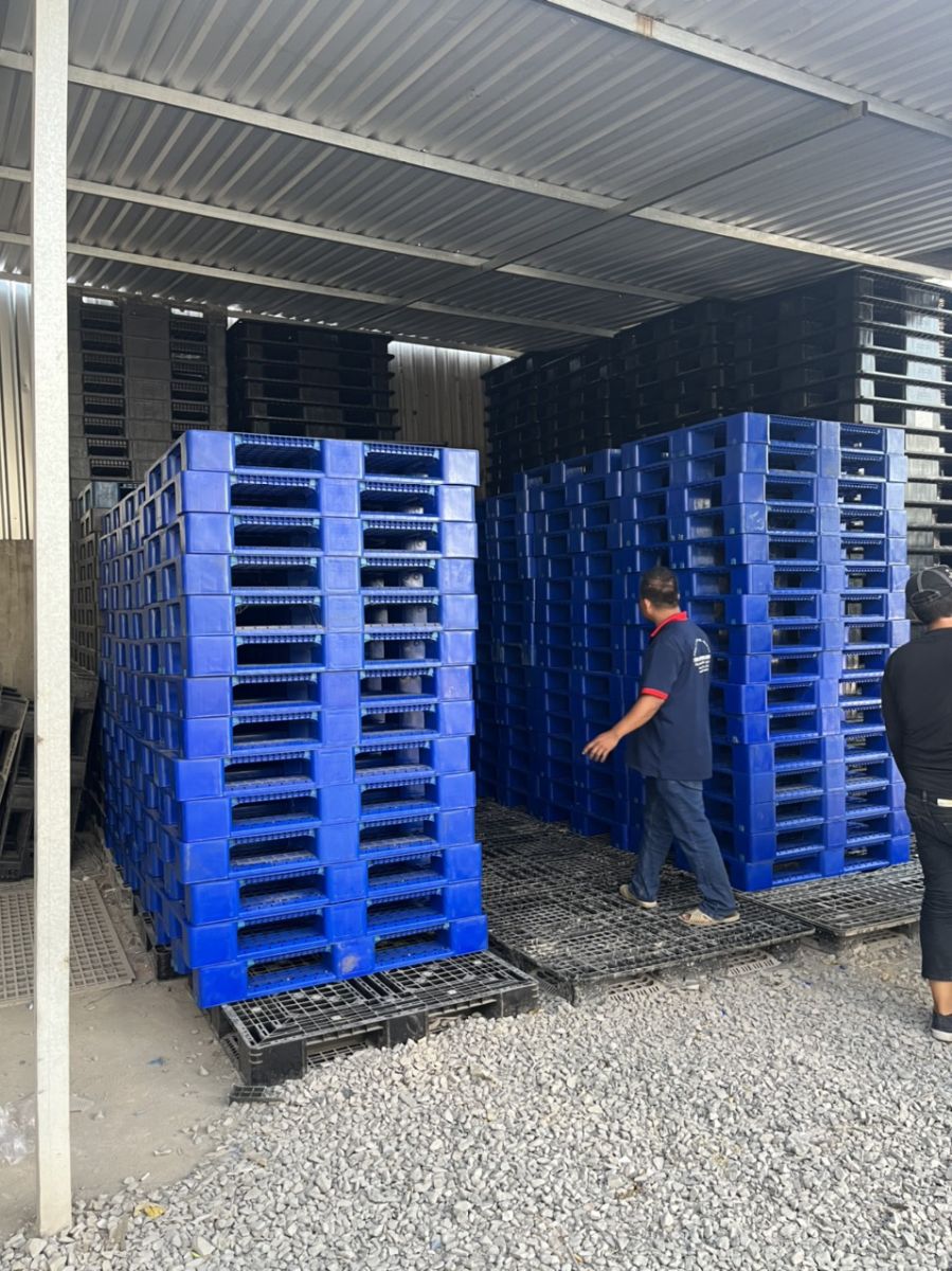 Pallet nhựa KCN Tân Bình