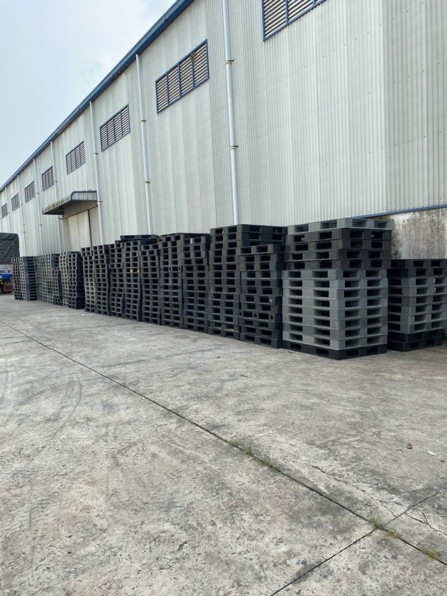 Pallet nhựa KCN Tân Bình