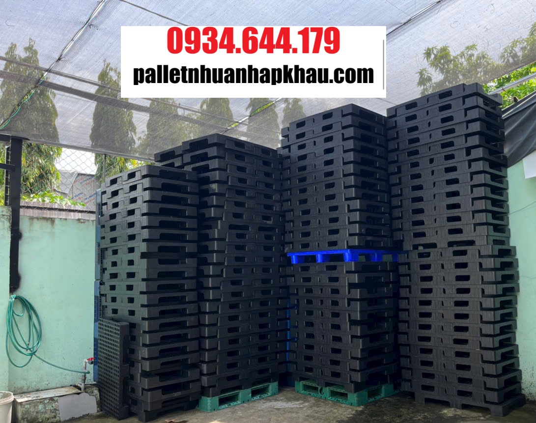 Pallet nhựa KCN Đại Đăng 