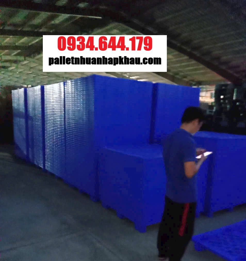 Pallet nhựa KCN Việt Nam-Singapore