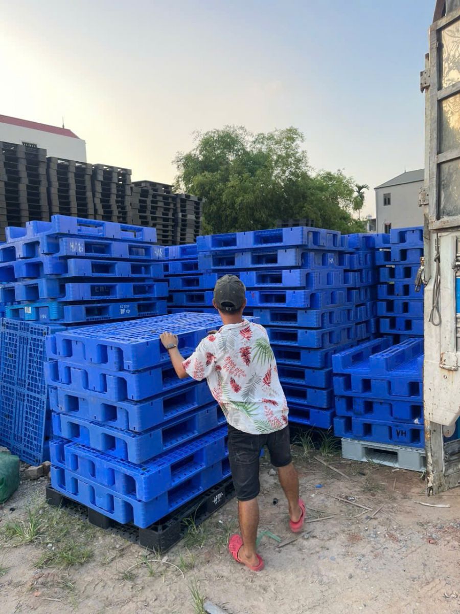 Pallet nhựa cũ