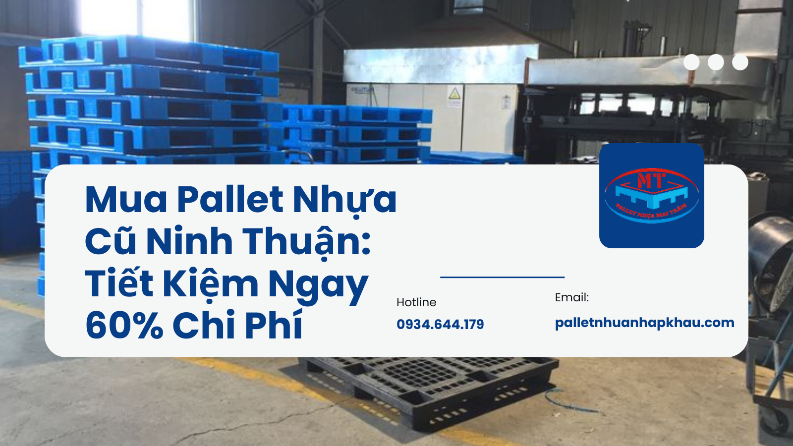 Mua Pallet Nhựa Cũ Ninh Thuận: Tiết Kiệm Ngay 60% Chi Phí