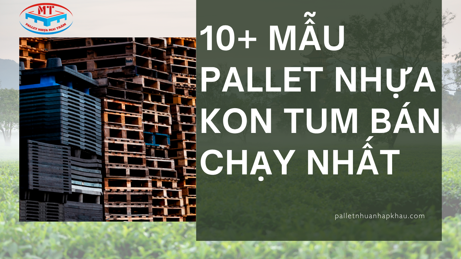 10+ Mẫu Pallet Nhựa Kon Tum Bán Chạy Nhất