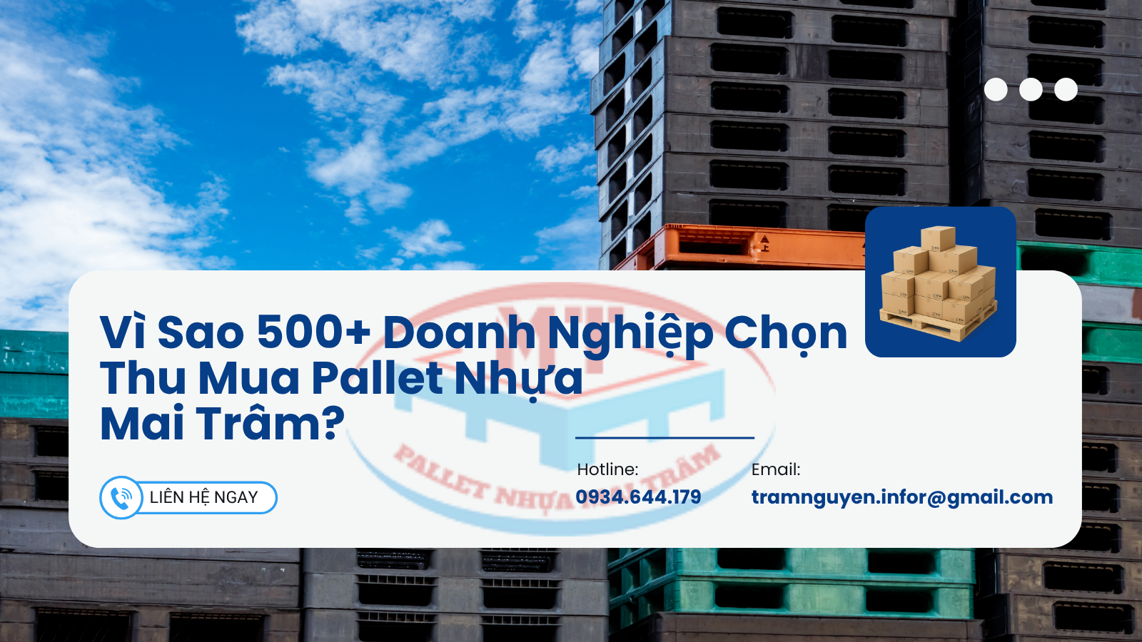 Vì Sao 500+ Doanh Nghiệp Chọn Thu Mua Pallet Nhựa Mai Trâm?
